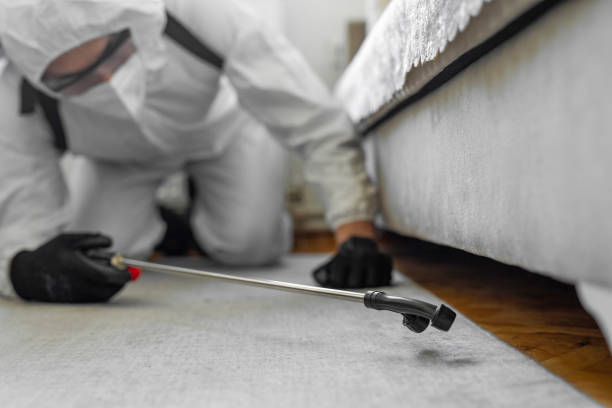 Professional Bed Bug Control technician working in Janesville, IA