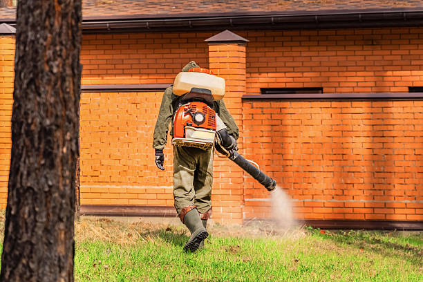 Trusted Ant Control service in Janesville, IA - Nex Pest Control